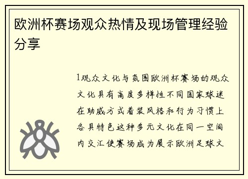 欧洲杯赛场观众热情及现场管理经验分享